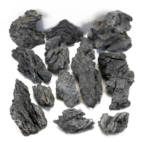 KINGRUI Natürlicher Seiryu Rock Drachenstein 5kg – Aquarium Steine für Aquascaping, Aquariengestaltung, Terrarium & Vivarium, 7–15 cm von KINGRUI