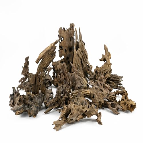 KINGRUI Natürliches Treibholz, Spinnenholz, Zweige für Aquarien und Reptilien, Terrarium, Dekoration, verschiedene Größen für Aquarien und Eidechsenlebensräume (27,9–35,6 cm (2 Stück), Garnelenholz von KINGRUI