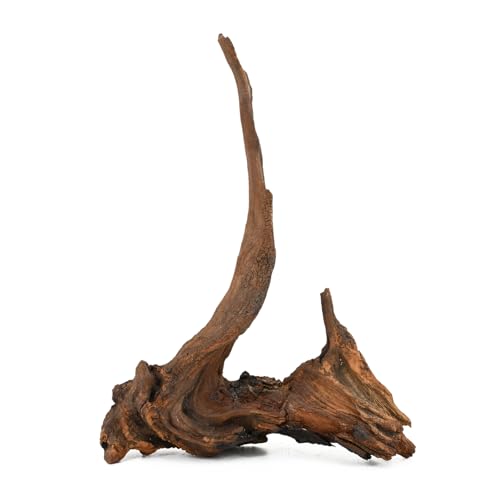 KINGRUI Natürliches Treibholz, Spinnenholz, Zweige für Aquarien und Reptilien-Terrarium, Dekoration, verschiedene Größen für Aquarien und Eidechsenlebensräume (35,6–43,2 cm (1 Stück), Mopani Treibholz von KINGRUI