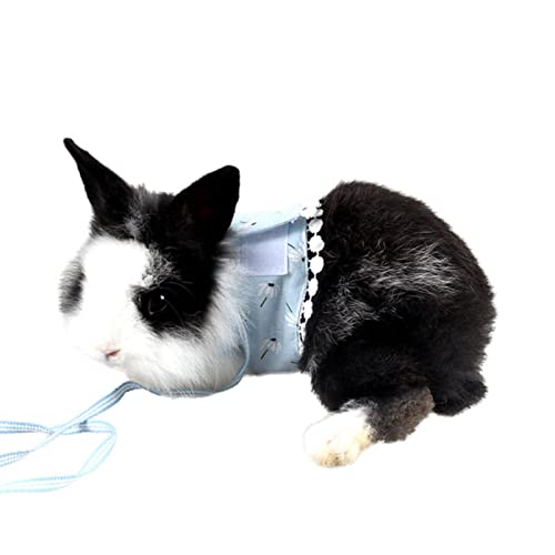 Hamstergeschirr, Weste, verstellbare Fliege, Netzgewebe, für Welpen, Katzen, Hundegeschirr, Set für Hamster, Kaninchen, Brustgurt, Meerschweinchen, Kleidung Hamstergeschirr, Weste, verstellbare Fliege, Netzgewebe, für Welpen, Katzen, Hundegeschirr, Set für Hamster, Kaninchen, Brustgurt, Meerschweinchen, Kleidung von KINHA