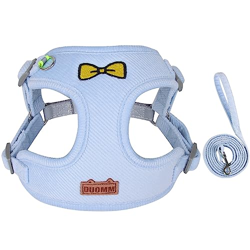 KINLYBO Hund Brustgurt mit Griff Seil für Kleine Hund Katzen Weiche Weste Geschirr Outdoor Training Wandern Blau M KINLYBO Hund Brustgurt mit Griff Seil für Kleine Hund Katzen Weiche Weste Geschirr Outdoor Training Wandern Blau M von KINLYBO