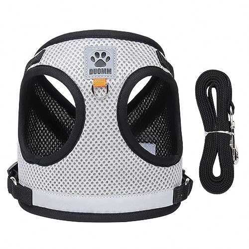 KINLYBO Hundegeschirr, reflektierend, atmungsaktiv, Netzgewebe, bequem, für Spaziergänge im Freien, Grau, Größe S KINLYBO Hundegeschirr, reflektierend, atmungsaktiv, Netzgewebe, bequem, für Spaziergänge im Freien, Grau, Größe S von KINLYBO