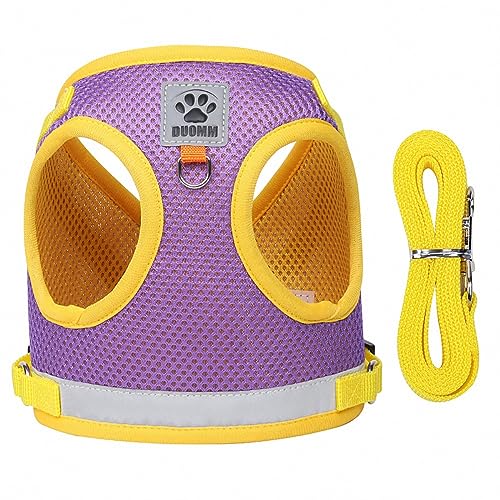 KINLYBO Hundegeschirr, reflektierend, atmungsaktiv, Netzgewebe, bequem, für Spaziergänge im Freien, Lila, Größe XS KINLYBO Hundegeschirr, reflektierend, atmungsaktiv, Netzgewebe, bequem, für Spaziergänge im Freien, Lila, Größe XS von KINLYBO
