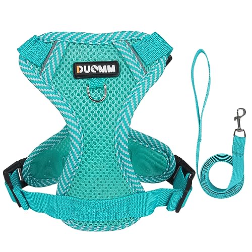 KINLYBO Hundegeschirr für kleine Hunde, verstellbar, atmungsaktiv, reflektierend, mit Griff, Blau, Größe M KINLYBO Hundegeschirr für kleine Hunde, verstellbar, atmungsaktiv, reflektierend, mit Griff, Blau, Größe M von KINLYBO