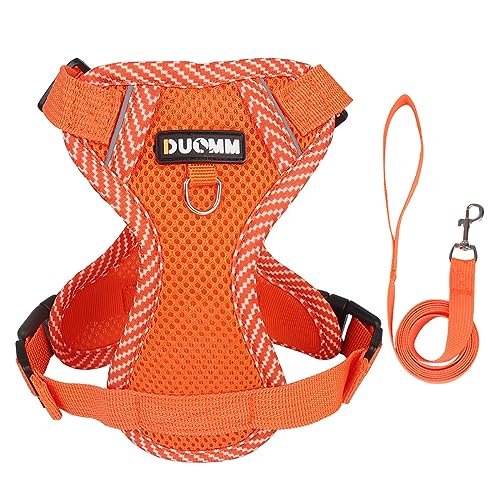 KINLYBO Hundegeschirr für kleine Hunde, verstellbar, atmungsaktiv, reflektierend, mit Griff, Orange, Größe L KINLYBO Hundegeschirr für kleine Hunde, verstellbar, atmungsaktiv, reflektierend, mit Griff, Orange, Größe L von KINLYBO