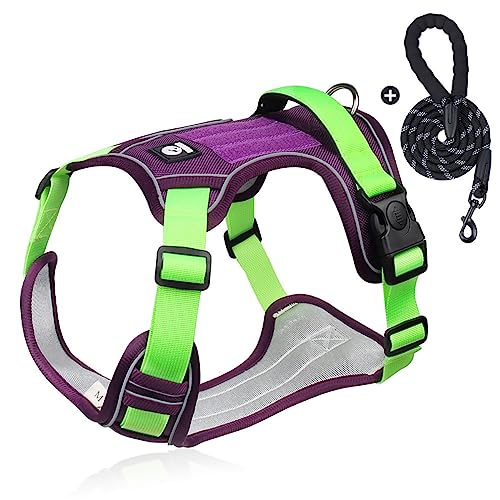 KINLYBO Hundegeschirr mit Kontrollgriff, verstellbarer, reflektierender Gurt für mittelgroße und große Hunde, Wandern, Spazierengehen, Lila, Größe S KINLYBO Hundegeschirr mit Kontrollgriff, verstellbarer, reflektierender Gurt für mittelgroße und große Hunde, Wandern, Spazierengehen, Lila, Größe S von KINLYBO