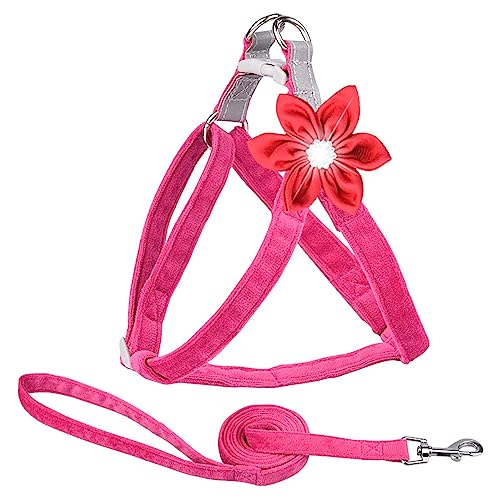 KINLYBO Hundegeschirr mit verstellbarer Schnalle, reflektierend, für Hunde, Katzen, Spaziergänge, Blume, Rose, Größe S KINLYBO Hundegeschirr mit verstellbarer Schnalle, reflektierend, für Hunde, Katzen, Spaziergänge, Blume, Rose, Größe S von KINLYBO