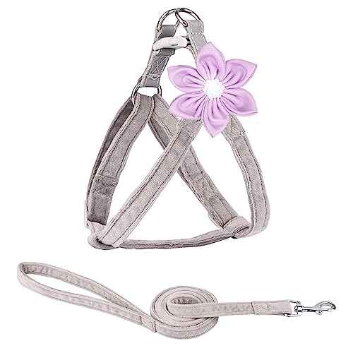 KINLYBO Hundegeschirr mit verstellbarer Schnalle, reflektierend, für Hunde und Katzen, Blume, Grau, Größe S KINLYBO Hundegeschirr mit verstellbarer Schnalle, reflektierend, für Hunde und Katzen, Blume, Grau, Größe S von KINLYBO