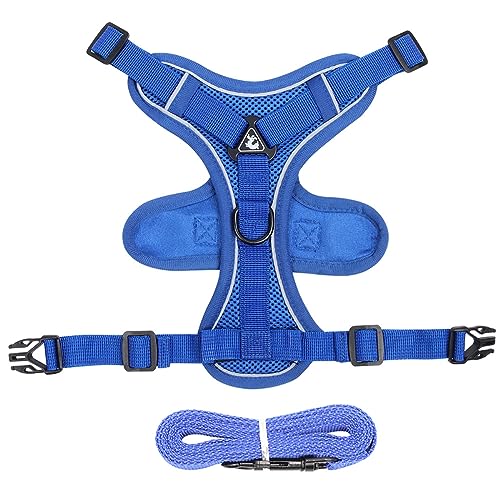 KINLYBO Pets Harnesses with Handle Breathable Reflective Vest Harness for Samll Dogs Cats Blue M von KINLYBO