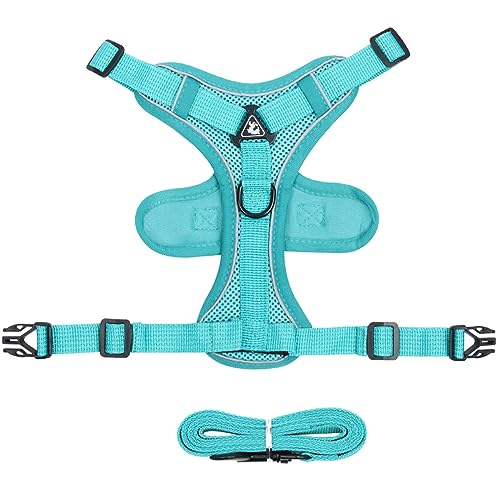 KINLYBO Pets Harnesses with Handle Breathable Reflective Vest Harness for Samll Dogs Cats Lake Blue L von KINLYBO
