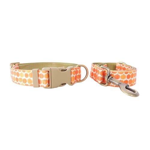 KINSPON Hundeleine, Schlupfgeschirr, Halsband mit schönem Kürbis-Halsband, 1,2 m lang, für starkes Training, Spazierengehen, Schwimmen, Wandern KINSPON Hundeleine, Schlupfgeschirr, Halsband mit schönem Kürbis-Halsband, 1,2 m lang, für starkes Training, Spazierengehen, Schwimmen, Wandern von KINSPON