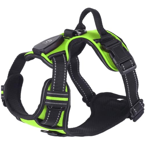 KINSPON LED-Hundegeschirr, leuchtend, verschiedene Größen, für Spaziergänge im Freien, für Hunde, Kätzchen, Nachtspaziergänge KINSPON LED-Hundegeschirr, leuchtend, verschiedene Größen, für Spaziergänge im Freien, für Hunde, Kätzchen, Nachtspaziergänge von KINSPON
