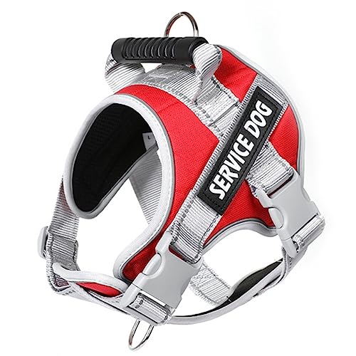 KINSPON Reflektierendes Hundegeschirr für kleine Hunde, Halsband, Hundeweste, Geschirr und Leine, verstellbare Leine KINSPON Reflektierendes Hundegeschirr für kleine Hunde, Halsband, Hundeweste, Geschirr und Leine, verstellbare Leine von KINSPON
