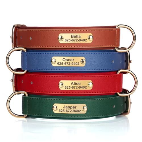 KINYABLUE Personalisiertes Hundehalsband für kleine Hunde, weiches Neopren, gepolstertes Leder, personalisierbares Hundehalsband mit Namensschild, verstellbares rotes Hundehalsband mit Lederleine und von KINYABLUE