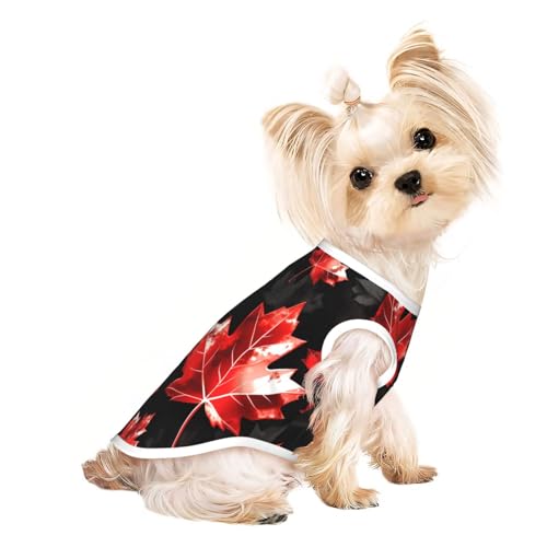 Ahornblatt-Hunde-Shirt, weich, atmungsaktiv, für Hunde, Katzen, Jungen, Mädchen, Haustier-T-Shirt, geeignet für kleine Haustiere Ahornblatt-Hunde-Shirt, weich, atmungsaktiv, für Hunde, Katzen, Jungen, Mädchen, Haustier-T-Shirt, geeignet für kleine Haustiere von KIRROWE