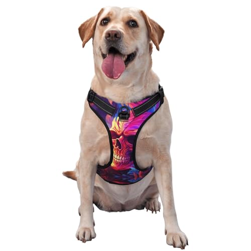 Bunte Schädel Hundegeschirr - Ausgestattet mit reflektierenden Haustierstreifen und Schnellspanner - geeignet für alle Hundetypen Bunte Schädel Hundegeschirr - Ausgestattet mit reflektierenden Haustierstreifen und Schnellspanner - geeignet für alle Hundetypen von KIRROWE