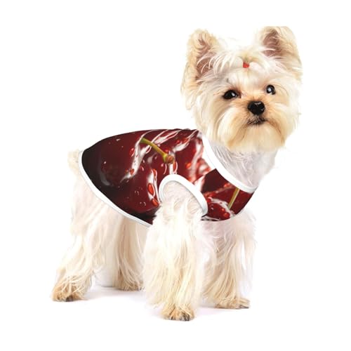 Delicious Fruits Hunde-Shirt, Baumwolle, weich, atmungsaktiv, für Hunde, Katzen, Jungen, Mädchen, Haustier-T-Shirt, geeignet für kleine Haustiere von KIRROWE