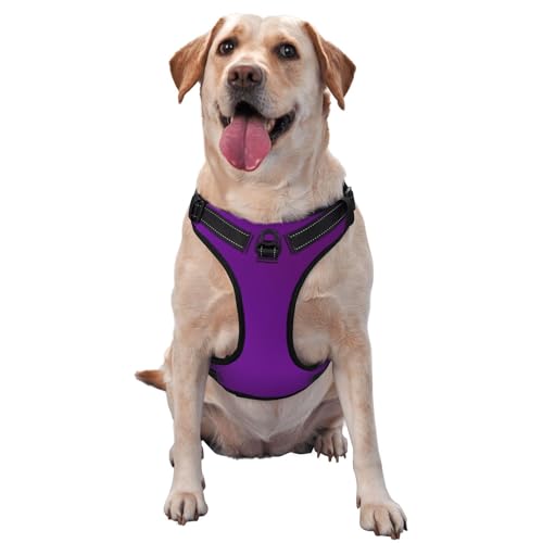 Dunkelviolettes Hundegeschirr, ausgestattet mit reflektierenden Haustiergurten und Schnellverschluss-Schnallen, geeignet für alle Arten von Hunden von KIRROWE
