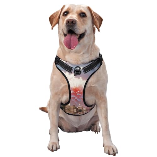 Hundegeschirr mit Blumen, die in der Sonne blühen, ausgestattet mit reflektierenden Haustiergurten und Schnellverschlussschnallen, geeignet für alle Arten von Hunden Hundegeschirr mit Blumen, die in der Sonne blühen, ausgestattet mit reflektierenden Haustiergurten und Schnellverschlussschnallen, geeignet für alle Arten von Hunden von KIRROWE