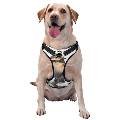 Hundegeschirr mit Vogel auf Ast - mit reflektierenden Streifen und Schnellspanner versehen - geeignet für alle Hundetypen Hundegeschirr mit Vogel auf Ast - mit reflektierenden Streifen und Schnellspanner versehen - geeignet für alle Hundetypen von KIRROWE