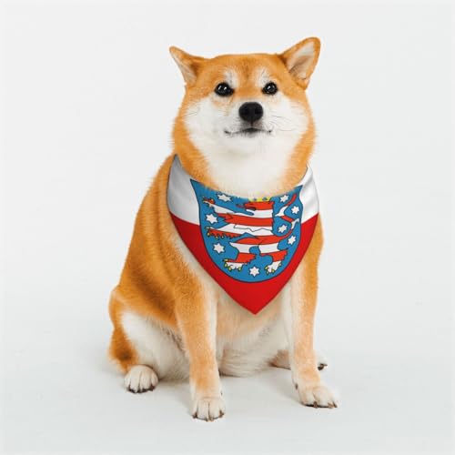 Hundehalstuch mit Thüringen-Flagge für kleine, mittelgroße und große Hunde, Dreieckstuch für Mädchen oder Jungen Hundehalstuch mit Thüringen-Flagge für kleine, mittelgroße und große Hunde, Dreieckstuch für Mädchen oder Jungen von KIRROWE