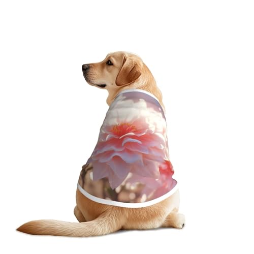 Hundeshirt für große und mittelgroße Hunde, atmungsaktives Netzgewebe, perfekt für den täglichen Gebrauch und besondere Anlässe Hundeshirt für große und mittelgroße Hunde, atmungsaktives Netzgewebe, perfekt für den täglichen Gebrauch und besondere Anlässe von KIRROWE
