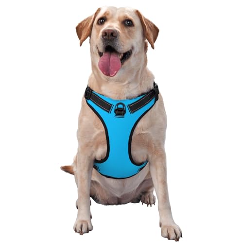 Hundeträger in Hellblau - mit Reflexstreifen für Haustiere und Schnellspanner ausgestattet - geeignet für alle Hundetypen Hundeträger in Hellblau - mit Reflexstreifen für Haustiere und Schnellspanner ausgestattet - geeignet für alle Hundetypen von KIRROWE