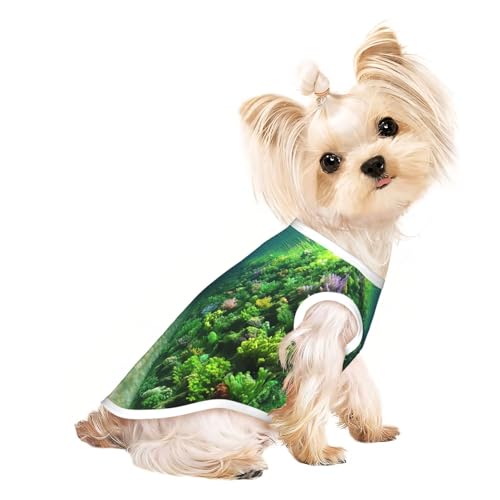 Seafloor Hunde-Shirt, weich, atmungsaktiv, für Hunde, Katzen, Jungen, Mädchen, Haustier-T-Shirt, geeignet für kleine Haustiere Seafloor Hunde-Shirt, weich, atmungsaktiv, für Hunde, Katzen, Jungen, Mädchen, Haustier-T-Shirt, geeignet für kleine Haustiere von KIRROWE
