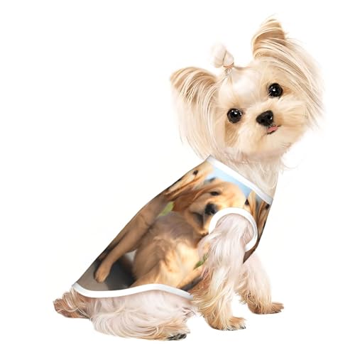 T-Shirt für kleine Hunde, weich, atmungsaktiv, für Hunde, Katzen, Jungen, Mädchen, geeignet für kleine Haustiere von KIRROWE
