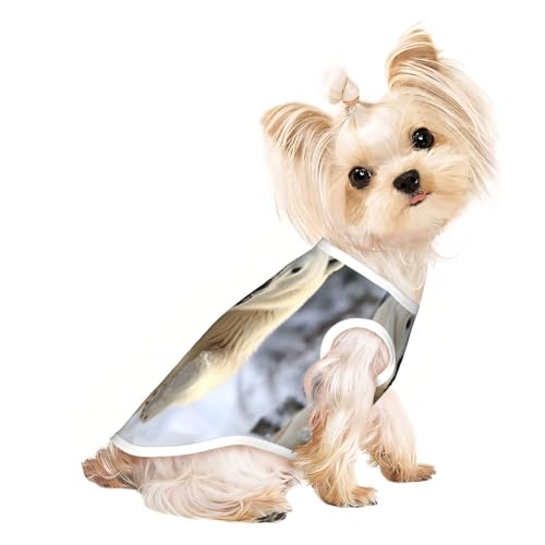 T-Shirt für kleine Hunde, weich, atmungsaktiv, für Hunde, Katzen, Jungen, Mädchen, geeignet für kleine Haustiere T-Shirt für kleine Hunde, weich, atmungsaktiv, für Hunde, Katzen, Jungen, Mädchen, geeignet für kleine Haustiere von KIRROWE
