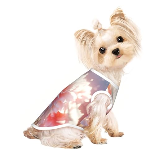 T-Shirt für kleine Hunde, weich, atmungsaktiv, für Hunde, Katzen, Jungen, Mädchen, geeignet für kleine Haustiere von KIRROWE