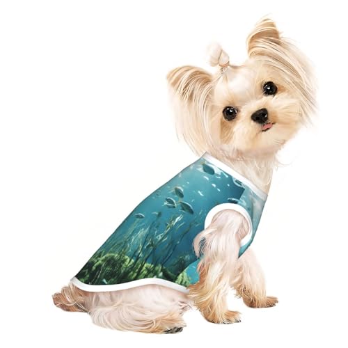 T-Shirt für kleine Hunde mit direktem Sonnenlicht auf dem Meeresboden, weich, atmungsaktiv, für Hunde, Katzen, Jungen, Mädchen, Haustier-T-Shirt, geeignet für kleine Haustiere von KIRROWE