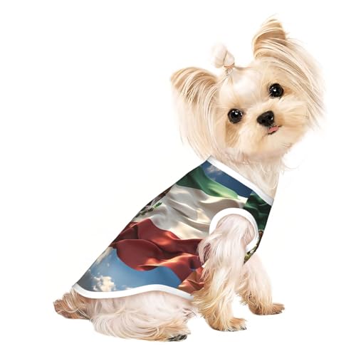 T-Shirt für kleine Hunde mit mexikanischer Flagge, weich, atmungsaktiv, für Hunde, Katzen, Jungen, Mädchen, Haustier-T-Shirt, geeignet für kleine Haustiere von KIRROWE