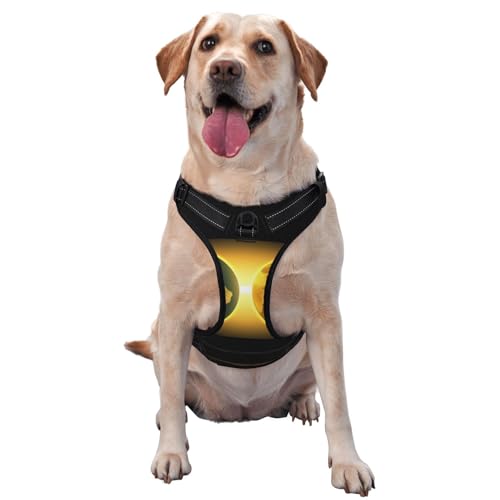 The Light of The Earth Hundegeschirr - Ausgestattet mit Reflexstreifen für Haustiere und Schnellspanner - geeignet für alle Hundetypen The Light of The Earth Hundegeschirr - Ausgestattet mit Reflexstreifen für Haustiere und Schnellspanner - geeignet für alle Hundetypen von KIRROWE