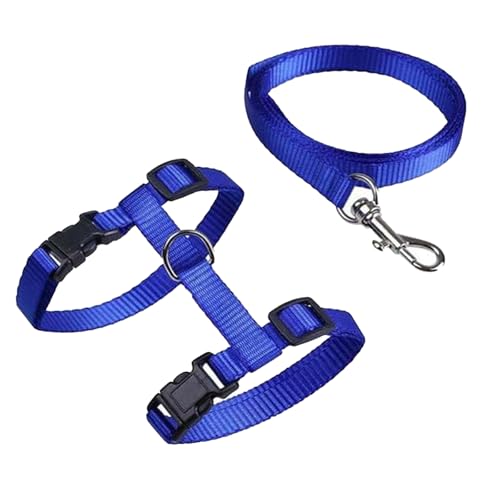 1 Stück Verstellbare Nylon Geschirre Katzenleine,Geschirre Katzenleine Kätzchenhalsband,Katzengeschirr mit Leine Ausbruchsicher für Kätzchen Welpe Kaninchen Hase von KIRVOS