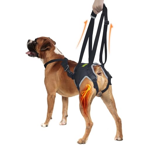 Hundetuch für mittelgroße und große Hunde, verstellbare Hundestütze, weiches Liftgeschirr für Hinterbeine, bequemes Design, Haustiergeschirr für ältere Hunde mit schwachen Hinterbeinen, Erholung von Hundetuch für mittelgroße und große Hunde, verstellbare Hundestütze, weiches Liftgeschirr für Hinterbeine, bequemes Design, Haustiergeschirr für ältere Hunde mit schwachen Hinterbeinen, Erholung von von KISFLY