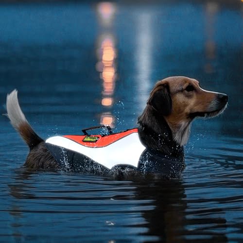 KISFLY Reflektierende Schwimmweste für mittelgroße Hunde, Schwimmweste mit Auftrieb, Rettungsweste für Hunde für Navigation, Strand und Pool (M, Orange) von KISFLY