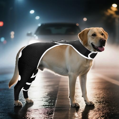 Reflektierende Hinterbeinmanschette für Hunde, atmungsaktive Hinterbeinabdeckungen mit einer Rückenschnalle, um Lecken zu verhindern und Wunden zu schützen, hochelastische Erholungsmanschette für Reflektierende Hinterbeinmanschette für Hunde, atmungsaktive Hinterbeinabdeckungen mit einer Rückenschnalle, um Lecken zu verhindern und Wunden zu schützen, hochelastische Erholungsmanschette für von KISFLY