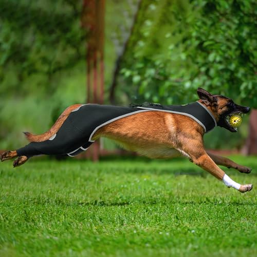 Reflektierende Hundemanschette gegen Lecken am Hinterbein – atmungsaktive Rückbeinbandagen mit einer Rückenschnalle zum Wundschutz – abriebfeste Hüftbandage für mittelgroße Hunde, Kegel-Alternative Reflektierende Hundemanschette gegen Lecken am Hinterbein – atmungsaktive Rückbeinbandagen mit einer Rückenschnalle zum Wundschutz – abriebfeste Hüftbandage für mittelgroße Hunde, Kegel-Alternative von KISFLY
