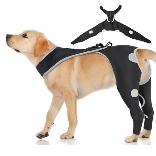 Reflektierende Hundemanschette gegen Lecken – atmungsaktive Hinterbeinmanschette mit Rückenschnalle zum Wundschutz – abriebfeste Hinterbeinbandage nach Operationen für kleine Hunde, Alternative zu Reflektierende Hundemanschette gegen Lecken – atmungsaktive Hinterbeinmanschette mit Rückenschnalle zum Wundschutz – abriebfeste Hinterbeinbandage nach Operationen für kleine Hunde, Alternative zu von KISFLY