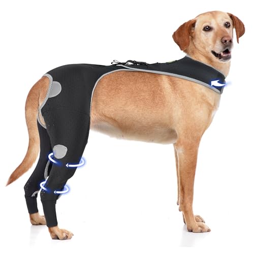 Reflektierende chirurgische Bandage für Hunde, atmungsaktive Rückbeinbandagen mit Rückenschnalle für Wundschutz und Leckstopp, hochelastische Erholungsmanschette nach Operationen für große Hunde Reflektierende chirurgische Bandage für Hunde, atmungsaktive Rückbeinbandagen mit Rückenschnalle für Wundschutz und Leckstopp, hochelastische Erholungsmanschette nach Operationen für große Hunde von KISFLY