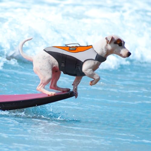 Reflektierende verstellbare Schwimmweste für Hunde, Schwimmweste mit hohem Auftrieb für kleine Hunde, Auftriebsgerät für Haustiere für Navigation, Pool (XS, Orange) von KISFLY