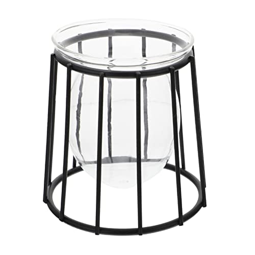 KITANDOVE 1 Stück Glasvase Grün Pflanzenbehälter Hydroponic Vase Mit Schmiedeeisenständer KITANDOVE 1 Stück Glasvase Grün Pflanzenbehälter Hydroponic Vase Mit Schmiedeeisenständer von KITANDOVE