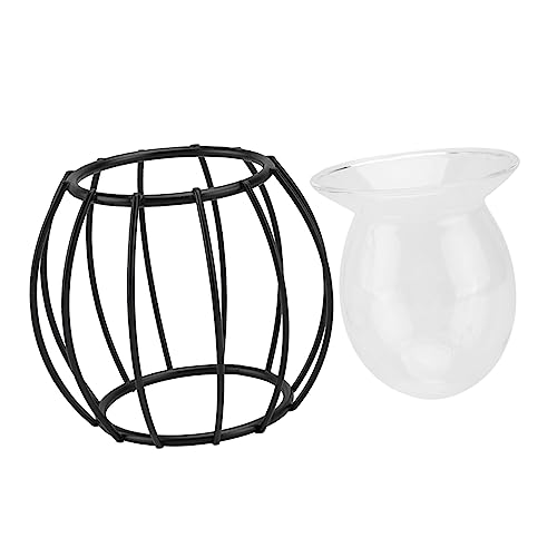 KITANDOVE 1Stk hydroponische Vase saftiges Terrarium Topf für Wasserpflanzen hydroponischer Pflanzer Büroschmuck bürodeko büro Dekoration Desktop-Blumentopf Desktop-Schmuck Eisen Black KITANDOVE 1Stk hydroponische Vase saftiges Terrarium Topf für Wasserpflanzen hydroponischer Pflanzer Büroschmuck bürodeko büro Dekoration Desktop-Blumentopf Desktop-Schmuck Eisen Black von KITANDOVE