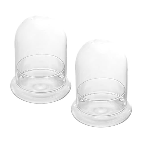 KITANDOVE 2 Stück Flaschenmoos, Mikrolandschaft, DIY Flasche, Pflanzenflasche, Kleine Glasflaschen, Miniaturflaschen, Heimdeko Accessoires, Mikrolandschaftsbehälter, Glasbehälter von KITANDOVE