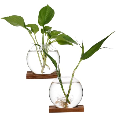 KITANDOVE 2 Stück Kreative Vase Für Pflanzen Anzuchtvase Anzuchtgläser Terrariumglas Anzuchtvasen Für Pflanzen Pflanzenterrarium Wandvasen Töpfe Für Pflanzen Tischvase Glas KITANDOVE 2 Stück Kreative Vase Für Pflanzen Anzuchtvase Anzuchtgläser Terrariumglas Anzuchtvasen Für Pflanzen Pflanzenterrarium Wandvasen Töpfe Für Pflanzen Tischvase Glas von KITANDOVE