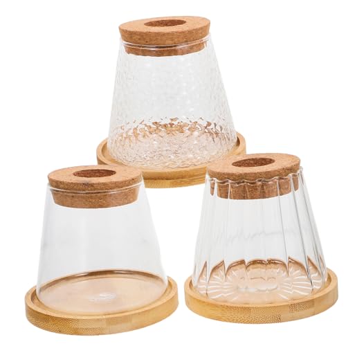 KITANDOVE 3 Sets Hydrokultur Pflanzenflasche, Zimmerpflanzenzubehör, Hydrokulturvase, Kleines Terrarium, Glaspflanzenterrarium, Hydrokultur Glasflasche, Kork, Hydrokultur Kleinvase, von KITANDOVE