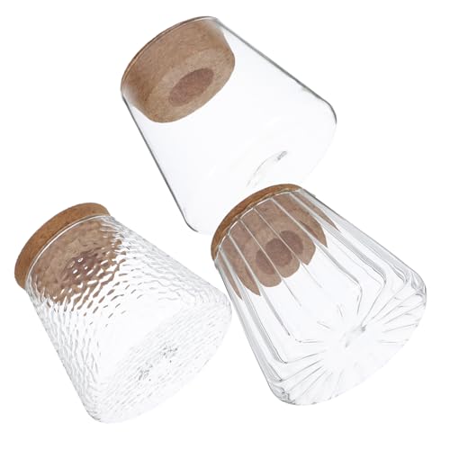 KITANDOVE 3er-Pack Glasgefäße Zur Pflanzenanzucht Für Den Schreibtisch Für Blumenarrangements Hydrokultur KITANDOVE 3er-Pack Glasgefäße Zur Pflanzenanzucht Für Den Schreibtisch Für Blumenarrangements Hydrokultur von KITANDOVE