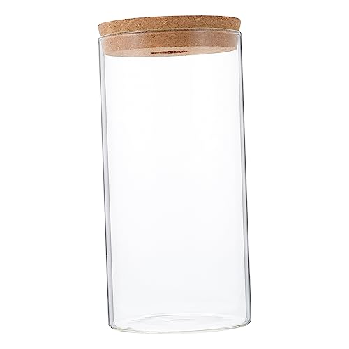 KITANDOVE Terrarium Glas Pflanze Flasche für Landschaft Moos Terrarium Home Office Decor von KITANDOVE