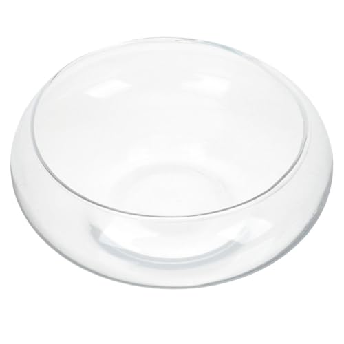KITANDOVE Glasfarbe Blumentopf Gefälschte Aquariumpflanze Tasse Samen Wasserpumpe Pflanzentopf Für Drinnen Saatstreuer Pflanzgefäße Pflanzentopfe Planter Fischhalter Hydroponischer Pflanzentopf Glas von KITANDOVE